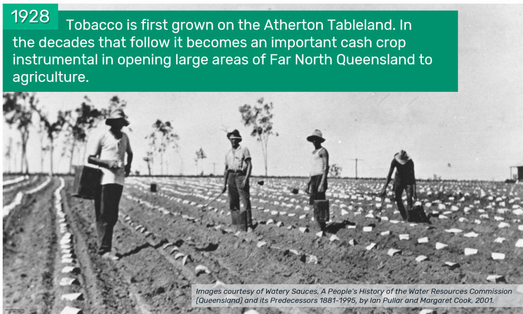 1928 - Tobacco is first grown on the Atherton Tableland. In the decades that follow it becomes an important cash crop instrumental in opening large areas of Far North Queensland to agriculture.