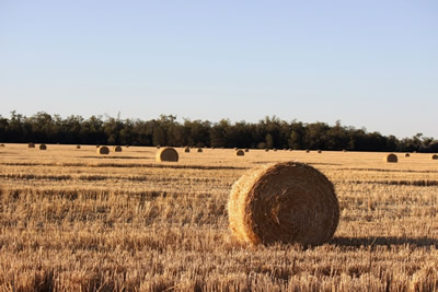 Water supply is vital to areas of the State’s south-west, supporting graziers and crops