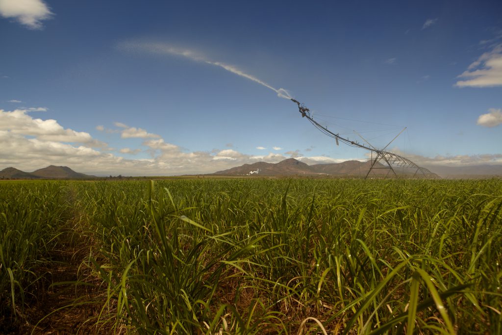 Distribution of water in a field
