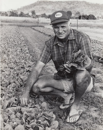 Tobacco farmer