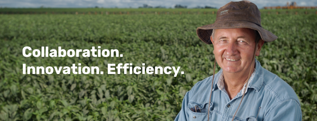 Older male farmer in front of a field of crops. Text displayed: Collaboration. Innovation. Efficiency.