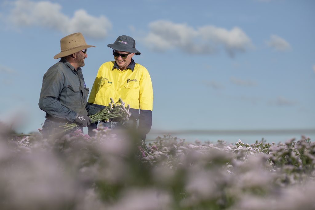 Two men standing together holding flowers in a field