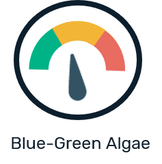 Blue green algae