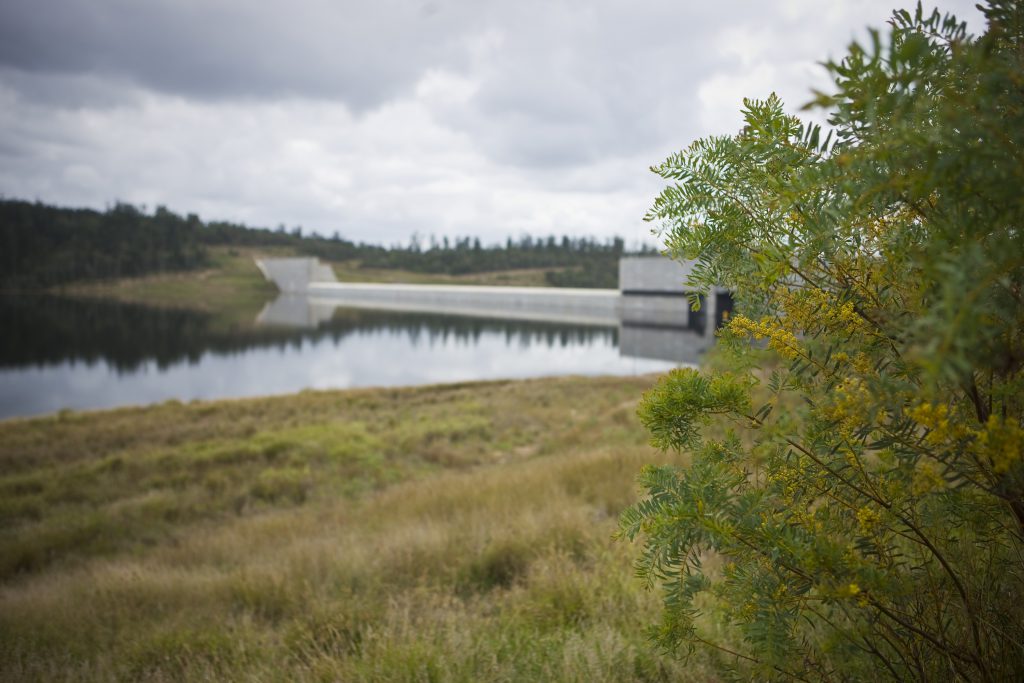 Paradise Dam