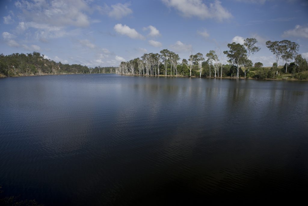 Paradise Dam