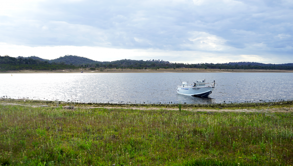 Leslie Dam Boat