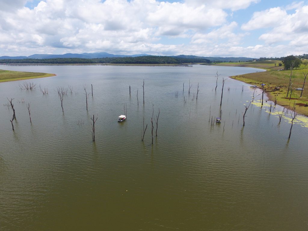 Lake Tinaroo